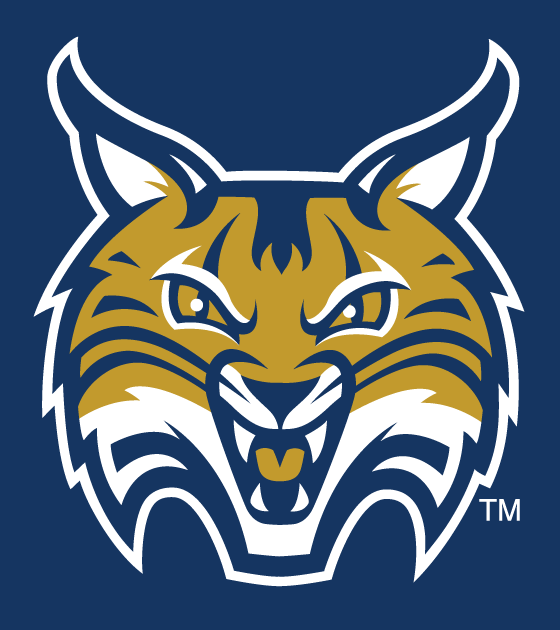 Quinnipiac Bobcats 2002-Pres Secondary Logo v3 diy fabric transfer